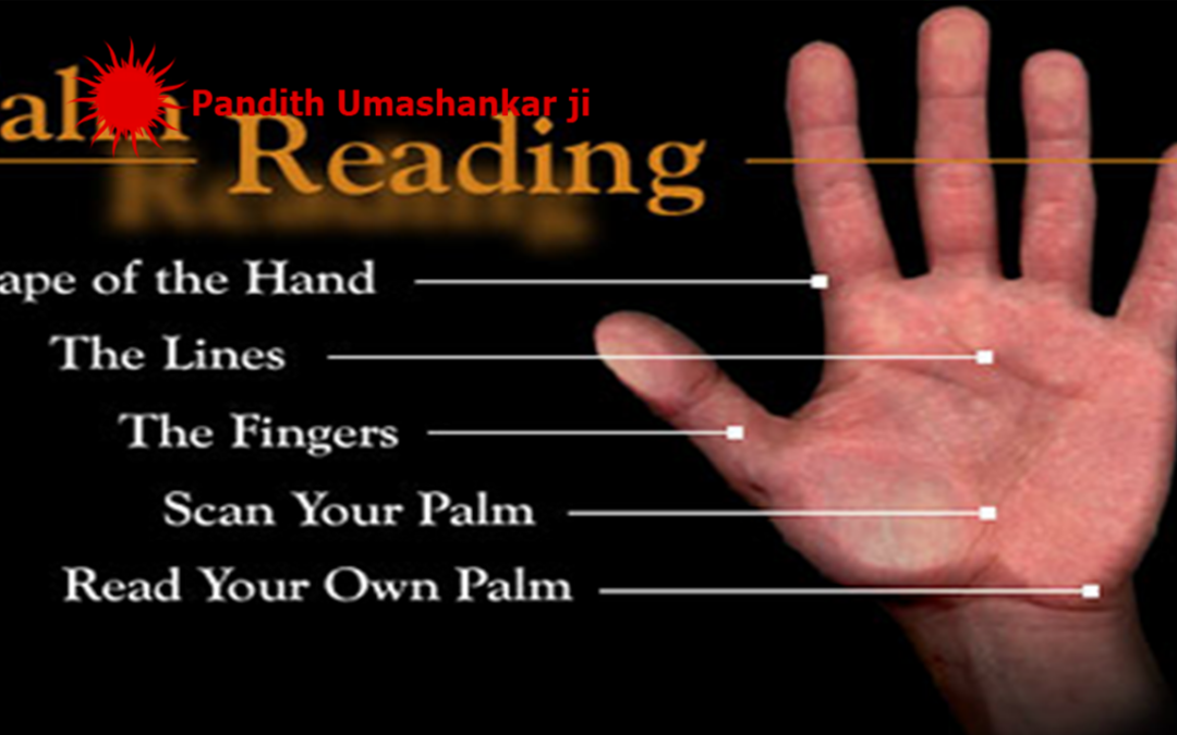Palm Reading In Wales
